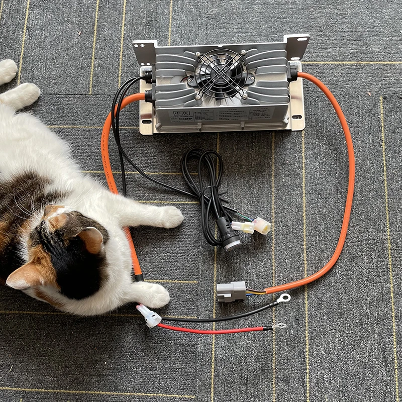 24V 48V 60V 72V 80V 84V 100.8V - 72V 15A Fast Charger 评论和价格